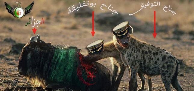 موسم الإغتيالات السياسية بدأ مبكرا في الجزائر بين جيش قايد صالح و جيش التوفيق