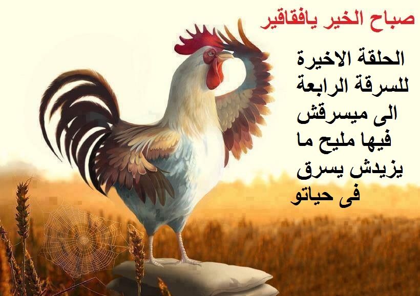وثائق سرية تكشف المستور : و تحايل روسيا على الجزائر في صفقات سلاح الخردة