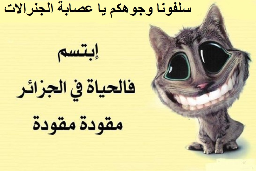 تبون مرشح عصابة الجنرالات يتجه لحسم الانتخابات الرئاسية بفوز كاسح