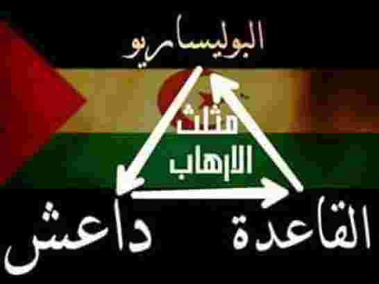 خبير مصري يكشف عن دور مخيمات تندوف في 'تفريخ' الارهاب في افريقيا ومنطقة الساحل