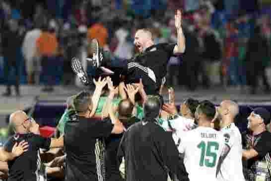ولاد فرنسا يتخلون على جمال بلماضي صاحب لقب كأس إفريقيا بمدرب فرنسي