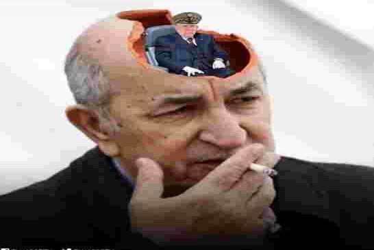 الهرم المقلوب في أدمغة رؤساء الجزائر اللاشرعيين