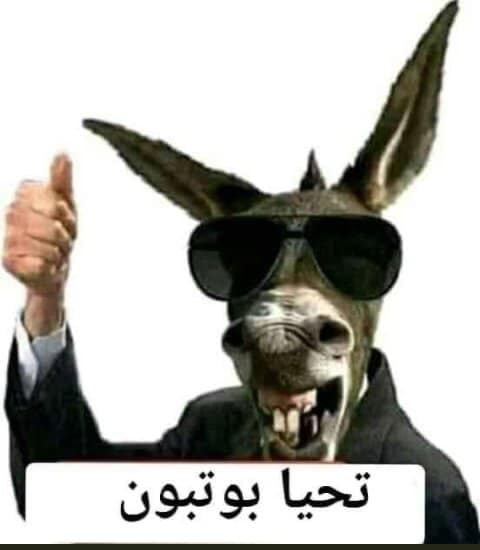 القنوات التلفزيونية الجزائرية تجمع بين الرقية الشرعية والتسويق للشعوذة بنكهة الأعشاب