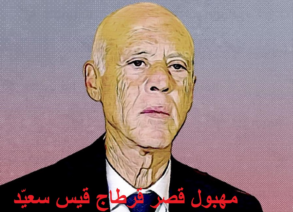 بعد الضجة الكبيرة سعيد يتعهد بمراجعة أخطاء وردت في مشروع الدستور الجديد
