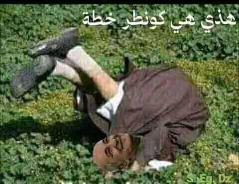 الحكومة الإسبانية تتأسف لقرار الجزائر  وتؤكد دعمها الكامل لمخطط الحكم الذاتي المغربي