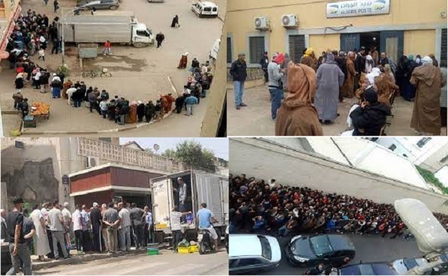 عصابة الجنرالات تدافع عن حقوق الشعوب وتترك الشعب الجزائري يقاتل من اجل كسرة خبز ولتر حليب