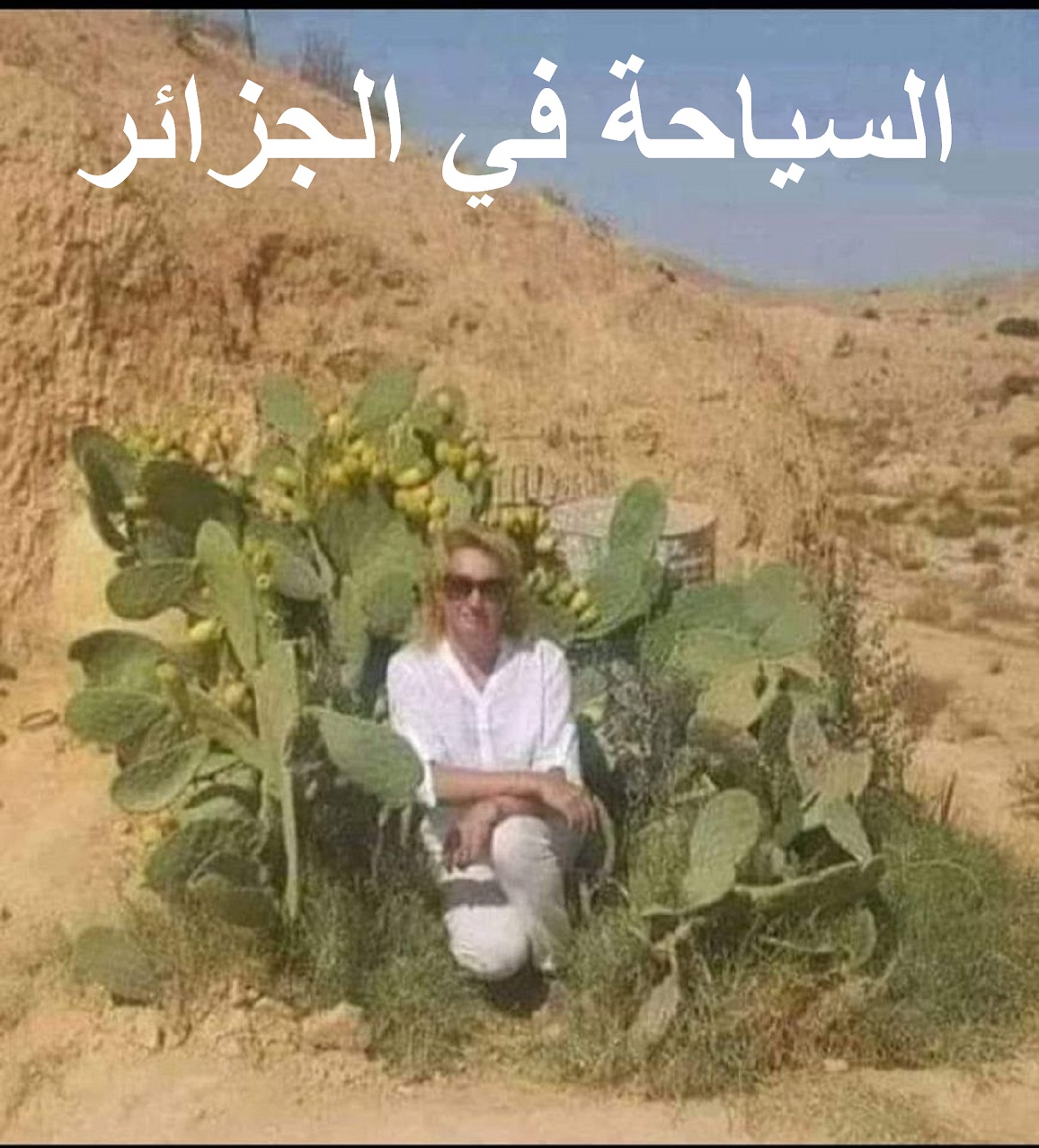 أسباب وعبقرية نجاح السياحة في جزائر تبون الجديدة