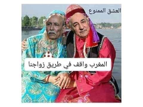 بعد إدخال الجزائر كطرف في النزاع المفتعل المغرب يقترب من طي نزاع الصحراء بدعم أمريكي قوي