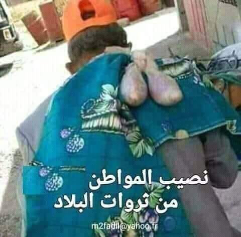 ارتفاع النفط الجزائري بـ13 دولار خلال جوان الماضي