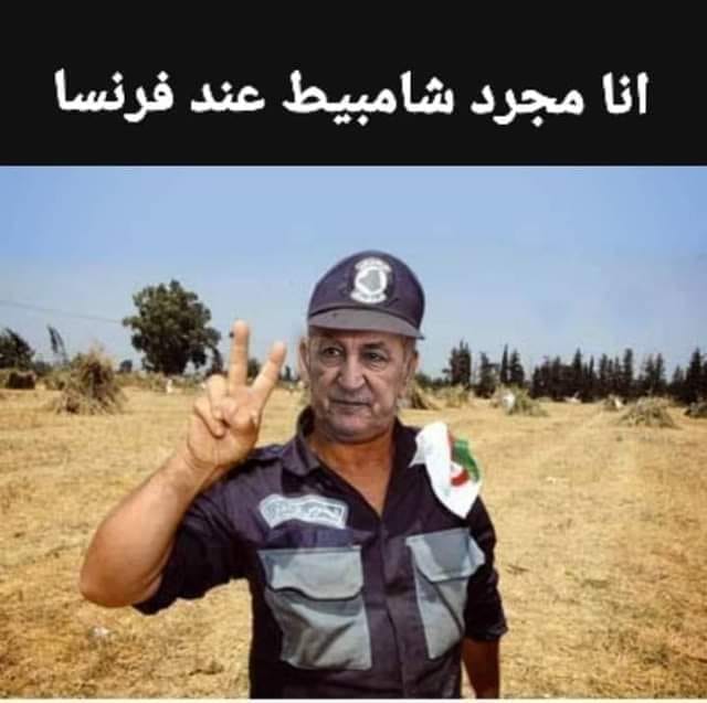 تبون يتودد لماما فرنسا ويُجاهر بالعداء للمغرب الشقيق