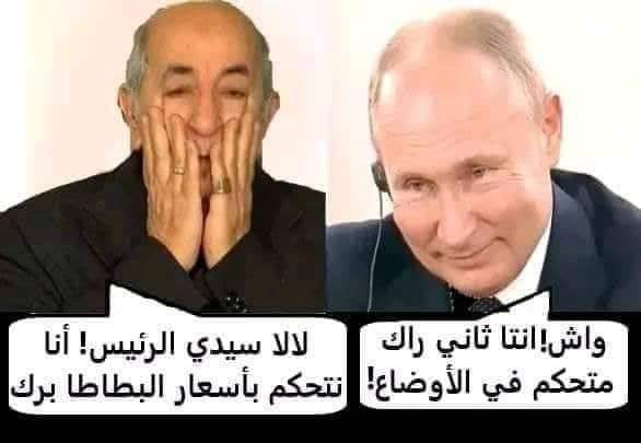 روسيا تدخل الجزائر في مستنقع  احتلال استيطاني