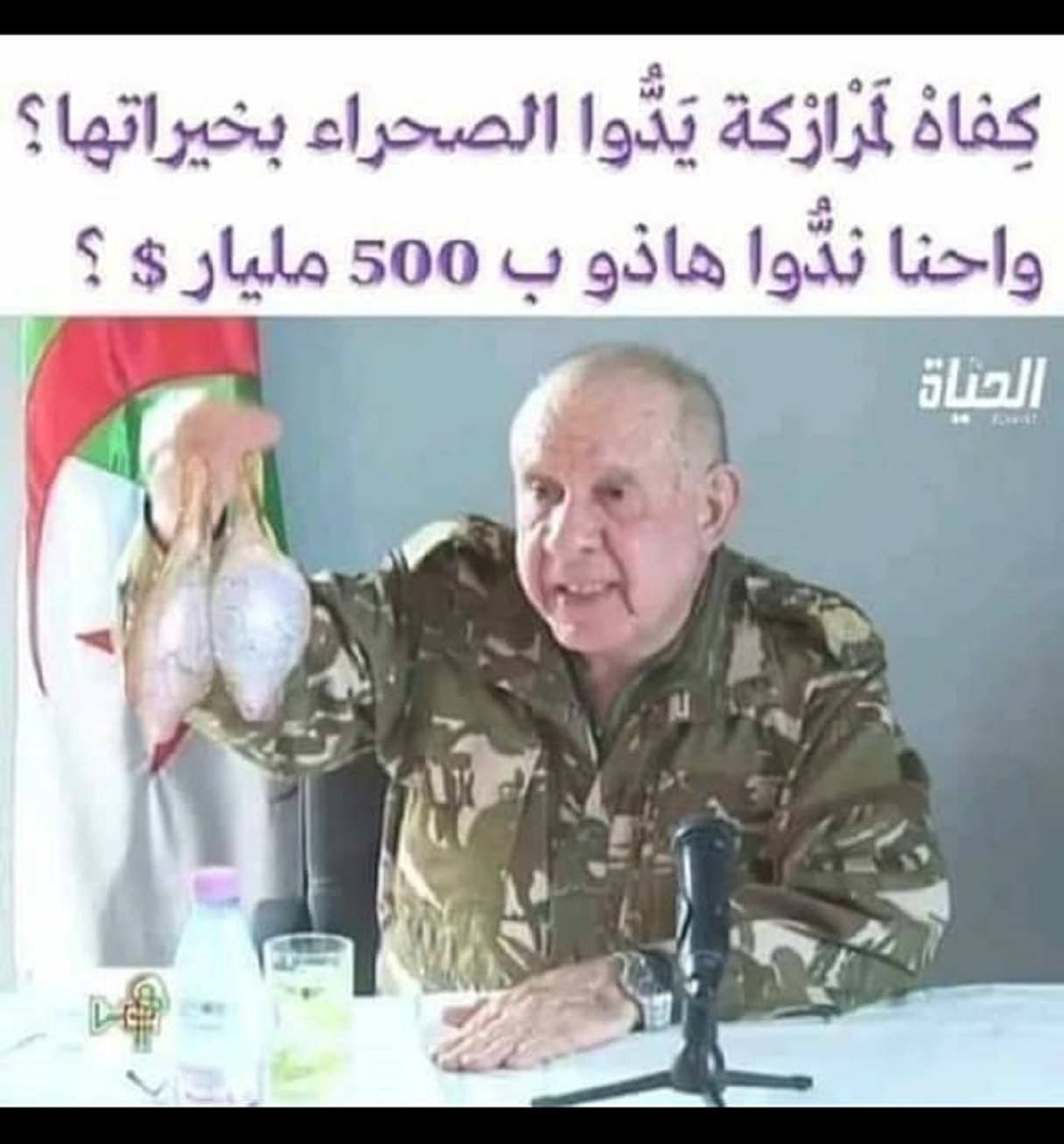 شل تزوّد المغرب بالغاز الطبيعي والجزائر ربحت الشعر من أنبوب الغاز المغاربي الأوروبي