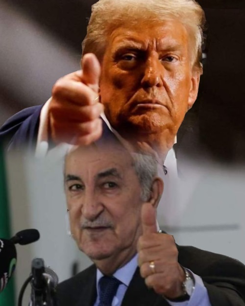 تبون يُهنئ ترامب ويؤكد له عزمه على العمل المشترك كقوتين إقليميتين
