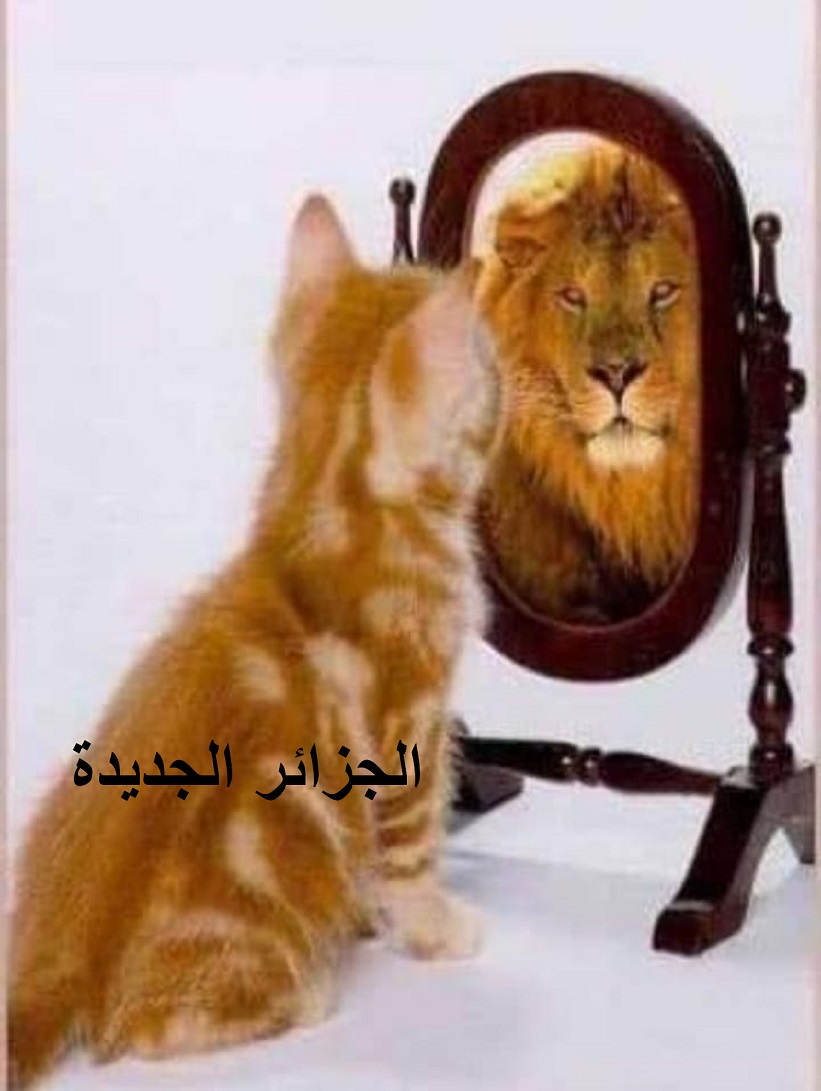 لعمامرة  يبحث مع نظيره الأوكراني تداعيات الحرب على الأمن الغذائي العالمي