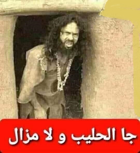 وزارة الصناعة تطلق  مشاورات لتجسيد مشروع إنتاج حليب الأطفال الرضع