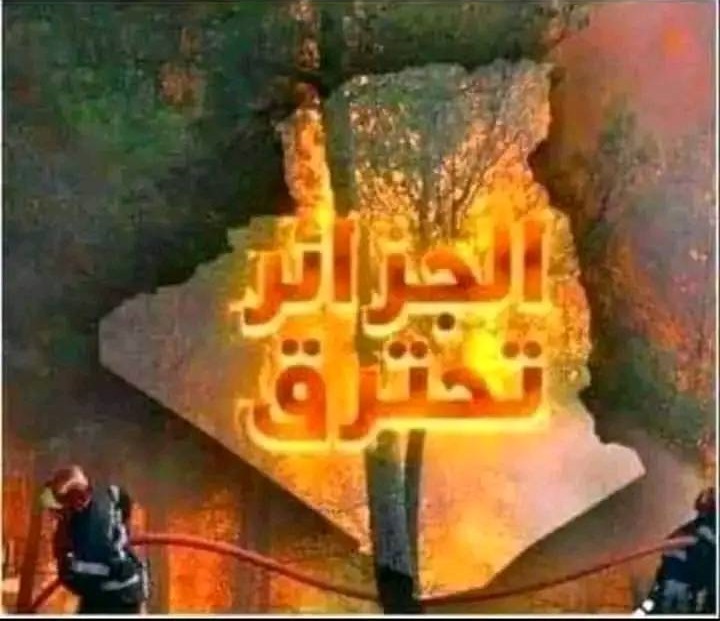وزارة الفلاحة تعلن “حالة التأهب القصوى” للوقاية ومكافحة حرائق الغابات