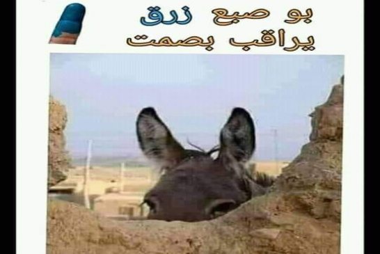 القناة الفرنسية فرانس 24  تفضح خدمة الإنترنت لمؤسسة Algérie Télécom