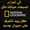 الجزائر تراهن على 'جرائم الاستعمار' كرأس مال ثوري لكسر عزلتها في افريقيا