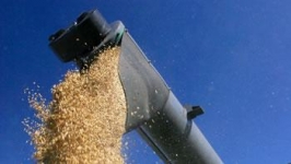 L\'ALGÉRIE IMPORTERA DU BLÉ DUR Salée sera la facture!