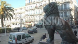 ORAN  Sept tentatives de suicide en une journée