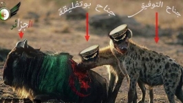 موسم الإغتيالات السياسية بدأ مبكرا في الجزائر بين جيش قايد صالح و جيش التوفيق