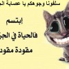 سيناريو دحدوحي رديء من إخراج التلفزيون الجزائري