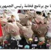 تدهور حقوق الانسان الى مستويات قياسية بالجزائر ينذر بثورة ستحصد الأخضر واليابس