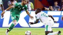 القاهرة على موعد مع تسونامي "الجسر الجوي الأخضر" أنصار المنتخب الوطني الجزائري
