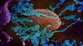 Le coronavirus pourrait voyager jusqu’à 4 mètres d’un malade