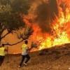 هلاك شخصين بسكيكدة بسبب ووسائل بدائية لإخماد لإخماد حرائق الغابات