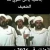 بعد دعوة تبون شباب الخارج للعودة دعوات سياسية وحقوقية في الجزائر لتعميم إجراءات العفو على نشطاء الداخل