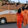 التعليق لكم؟