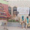 سبيطلة التونسية تختتم فعاليات مهرجان الشعر الشعبي
