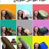 شنقريحة يخير الشعب بين الطوابير بشكل حضاري ونعمة الأمن