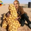 ياقوم بوصبع صدقو أو لا تصدقو البطاطس سلاح الجزائر الإستراتيجي والفتاك لغزو العالم