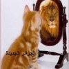 لعمامرة  يبحث مع نظيره الأوكراني تداعيات الحرب على الأمن الغذائي العالمي