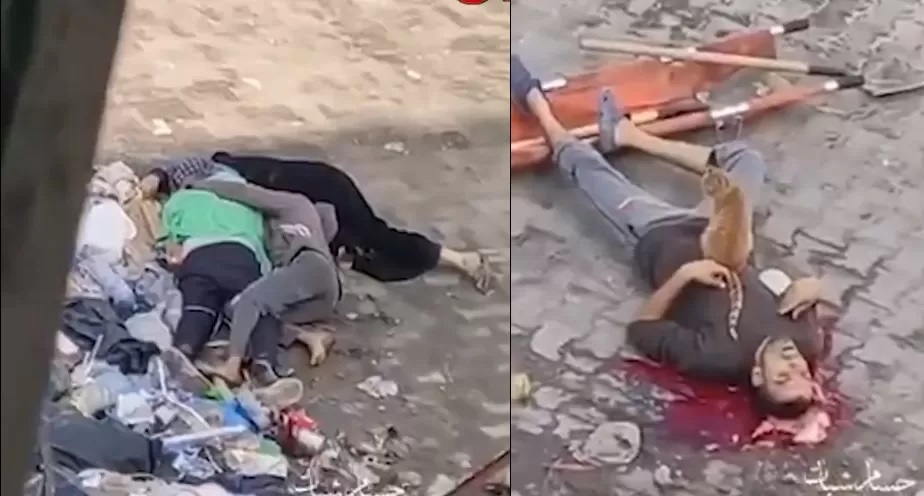 سحب جائزة من صحافية فرنسية شبّهت قصف إسرائيل لغزة بالهولوكوست